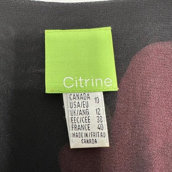 Citrine of Canada Midi Dress Sz 10 Black Floral Y2K Whimsigoth Dark Romantic Vtg - Picture 9 of 11